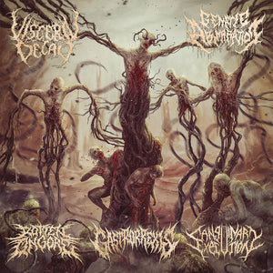 Rotten On Gore, Visceral Decay, Sanguinary Execution, Gastrorrexis, Genetic Aberration ‎– Sutured Bleeding Wounds SPLIT (CD)