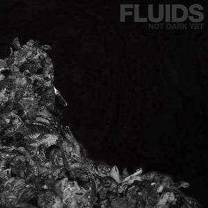 Fluids – Not Dark Yet (CD)