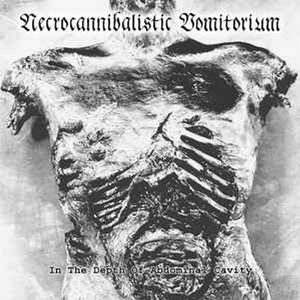 Necrocannibalistic Vomitorium / Decomposing Serenity ‎– In The Depth Of Abdominal Cavity / Let Us Show You How To Draw Blood  (CD)